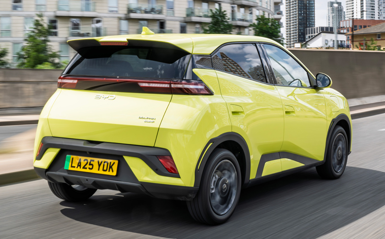 BYD Dolphin Surf rear