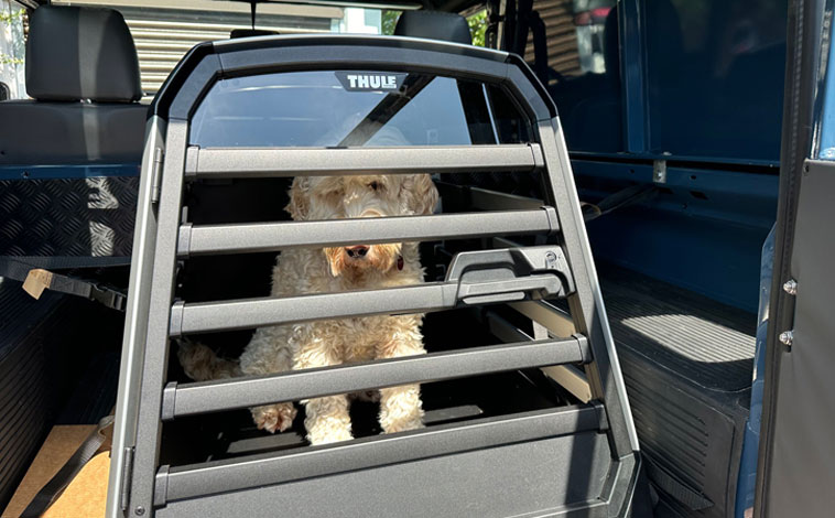 Thule Allax dog crate